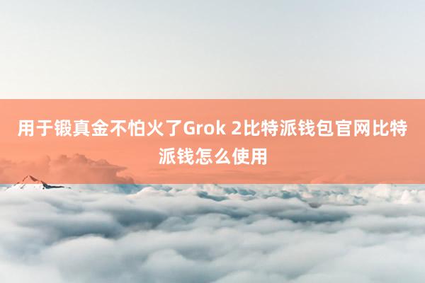 用于锻真金不怕火了Grok 2比特派钱包官网比特派钱怎么使用