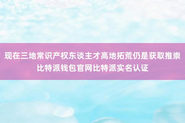 现在三地常识产权东谈主才高地拓荒仍是获取推崇比特派钱包官网比特派实名认证