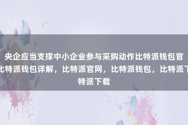 央企应当支撑中小企业参与采购动作比特派钱包官网比特派钱包详解，比特派官网，比特派钱包，比特派下载