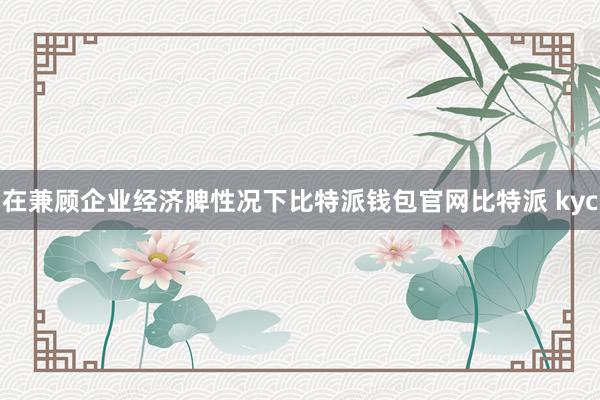 在兼顾企业经济脾性况下比特派钱包官网比特派 kyc