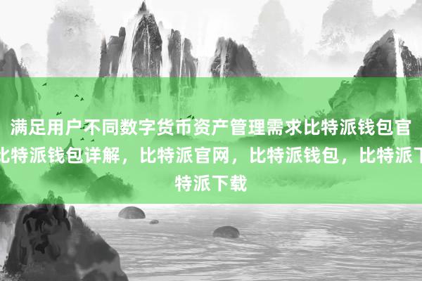 满足用户不同数字货币资产管理需求比特派钱包官网比特派钱包详解，比特派官网，比特派钱包，比特派下载