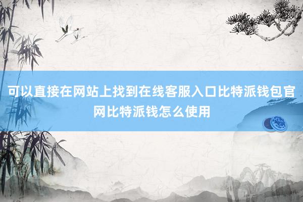 可以直接在网站上找到在线客服入口比特派钱包官网比特派钱怎么使用