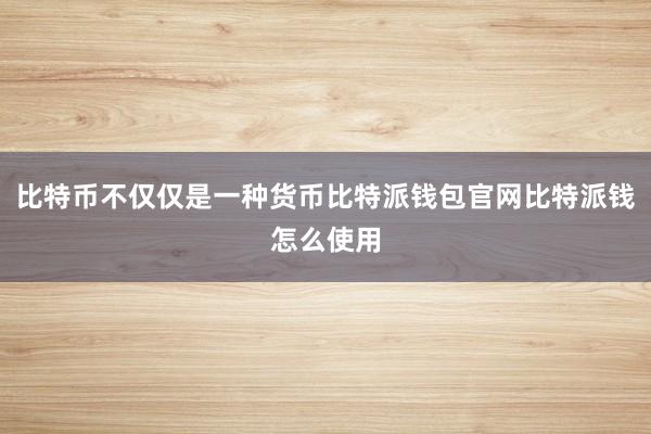 比特币不仅仅是一种货币比特派钱包官网比特派钱怎么使用