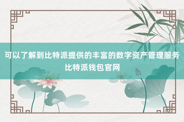 可以了解到比特派提供的丰富的数字资产管理服务比特派钱包官网