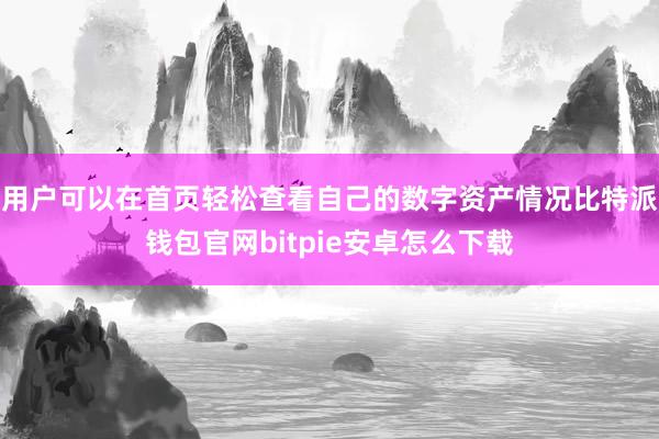 用户可以在首页轻松查看自己的数字资产情况比特派钱包官网bitpie安卓怎么下载