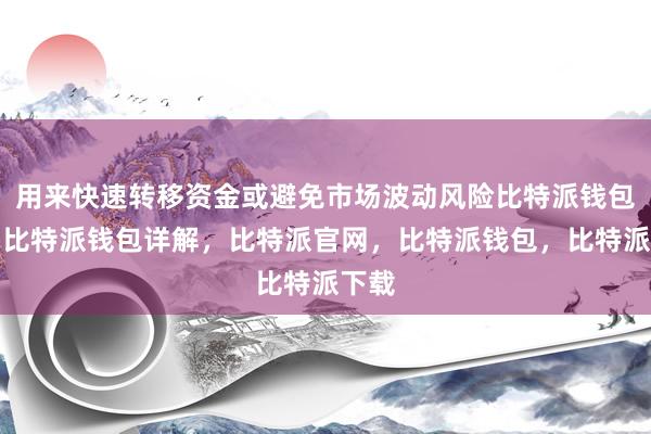 用来快速转移资金或避免市场波动风险比特派钱包官网比特派钱包详解，比特派官网，比特派钱包，比特派下载