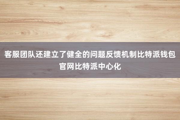 客服团队还建立了健全的问题反馈机制比特派钱包官网比特派中心化