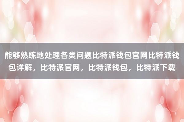 能够熟练地处理各类问题比特派钱包官网比特派钱包详解，比特派官网，比特派钱包，比特派下载