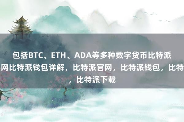 包括BTC、ETH、ADA等多种数字货币比特派钱包官网比特派钱包详解，比特派官网，比特派钱包，比特派下载