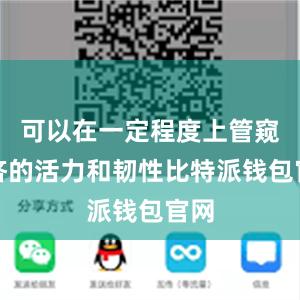 可以在一定程度上管窥经济的活力和韧性比特派钱包官网