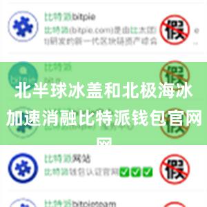 北半球冰盖和北极海冰加速消融比特派钱包官网