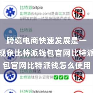 跨境电商快速发展是一个全球性现象比特派钱包官网比特派钱怎么使用