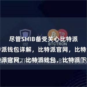 尽管SHIB备受关心比特派钱包官网比特派钱包详解，比特派官网，比特派钱包，比特派下载