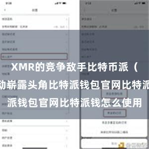 XMR的竞争敌手比特币派（BTC）也启动崭露头角比特派钱包官网比特派钱怎么使用