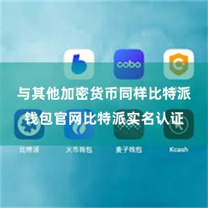 与其他加密货币同样比特派钱包官网比特派实名认证