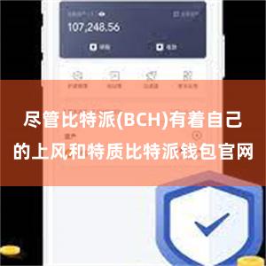 尽管比特派(BCH)有着自己的上风和特质比特派钱包官网